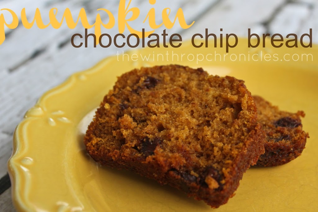 pumpkin chocolate chip bread