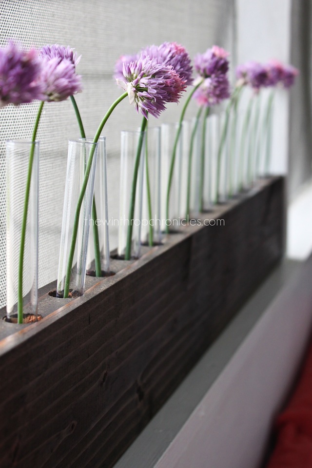 TEST TUBE VASES