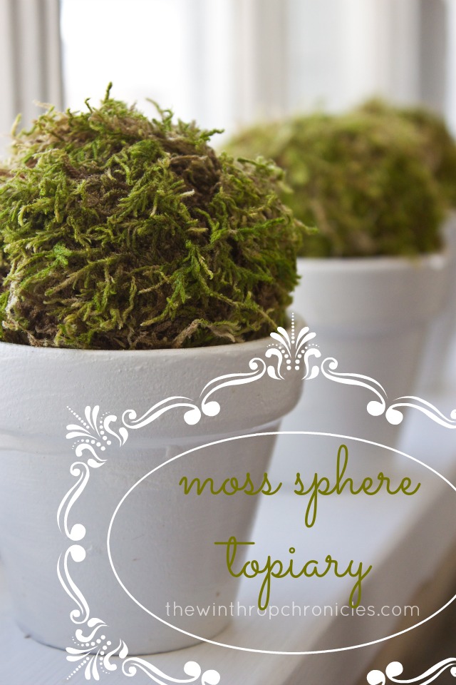 {DIY} MOSS SPHERE TOPIARY