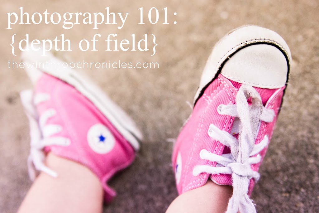 photography 101: depth of field
