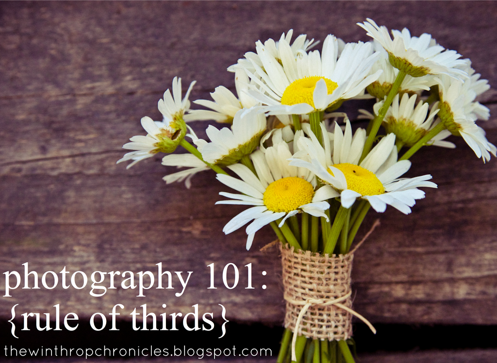 photography 101: rule of thirds